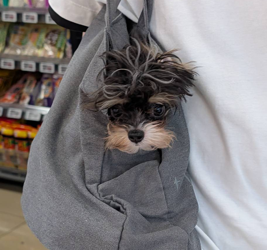 スーパー到着!