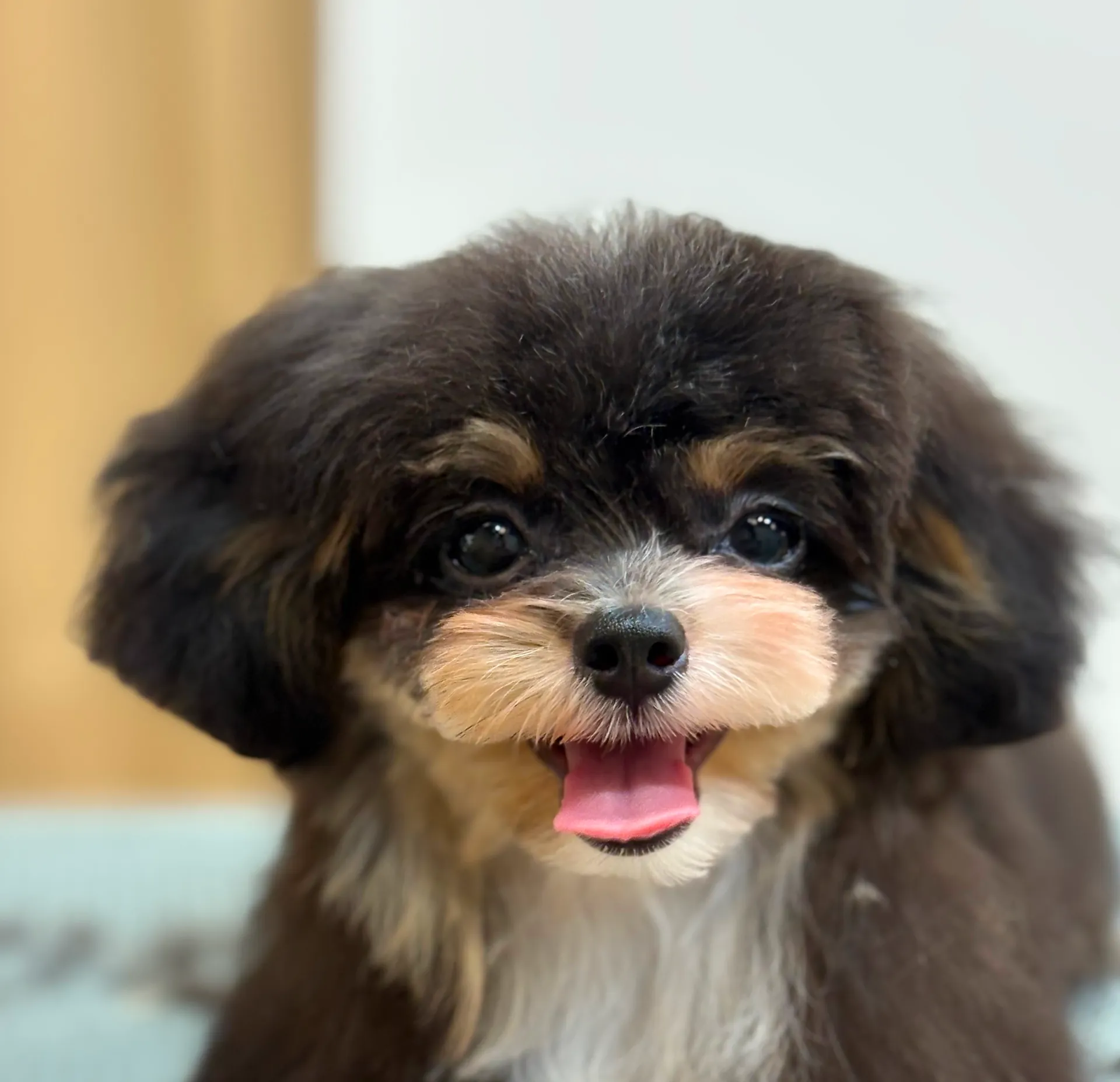 初めてのカット体験！