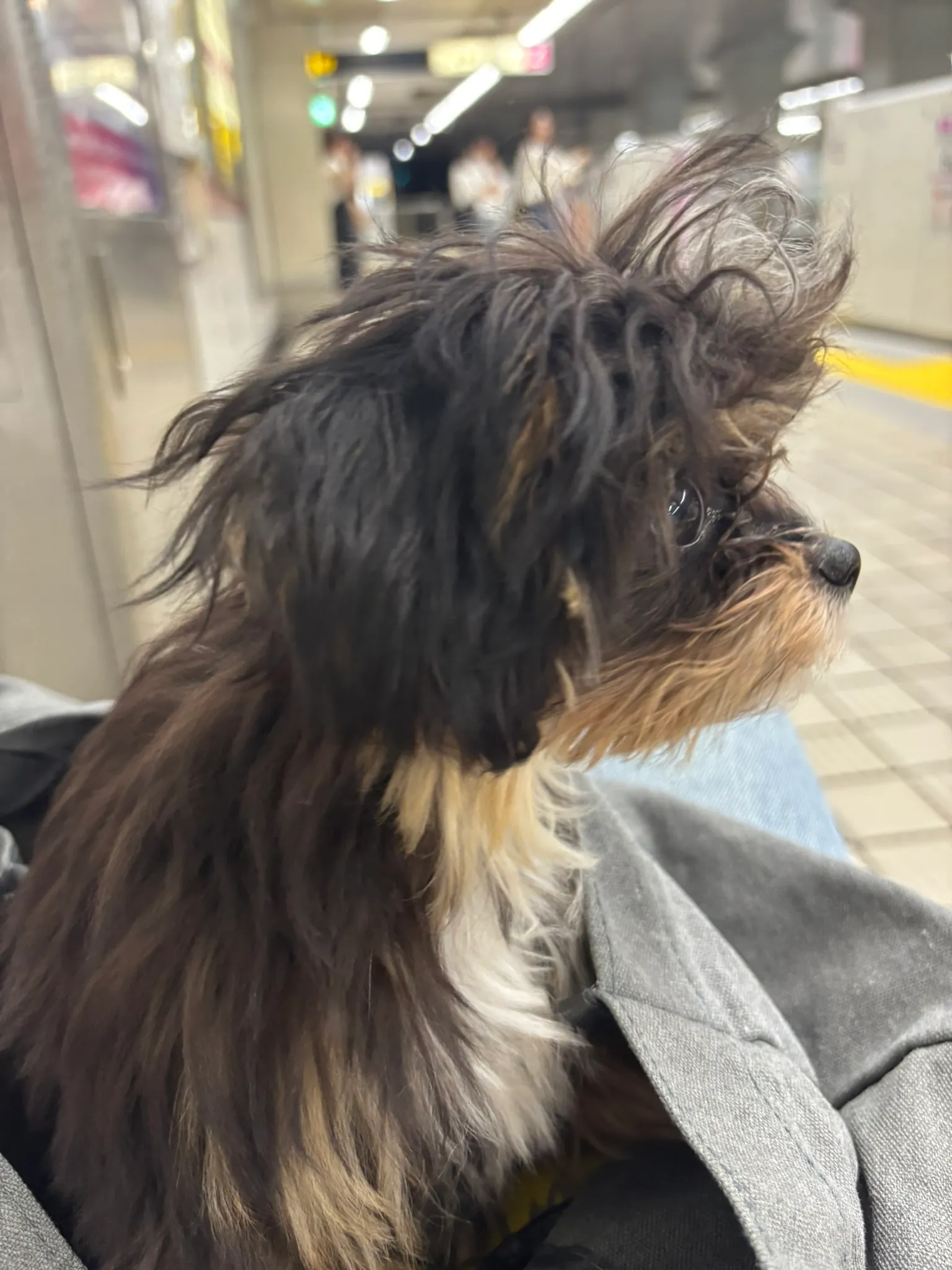 今回参考にする写真