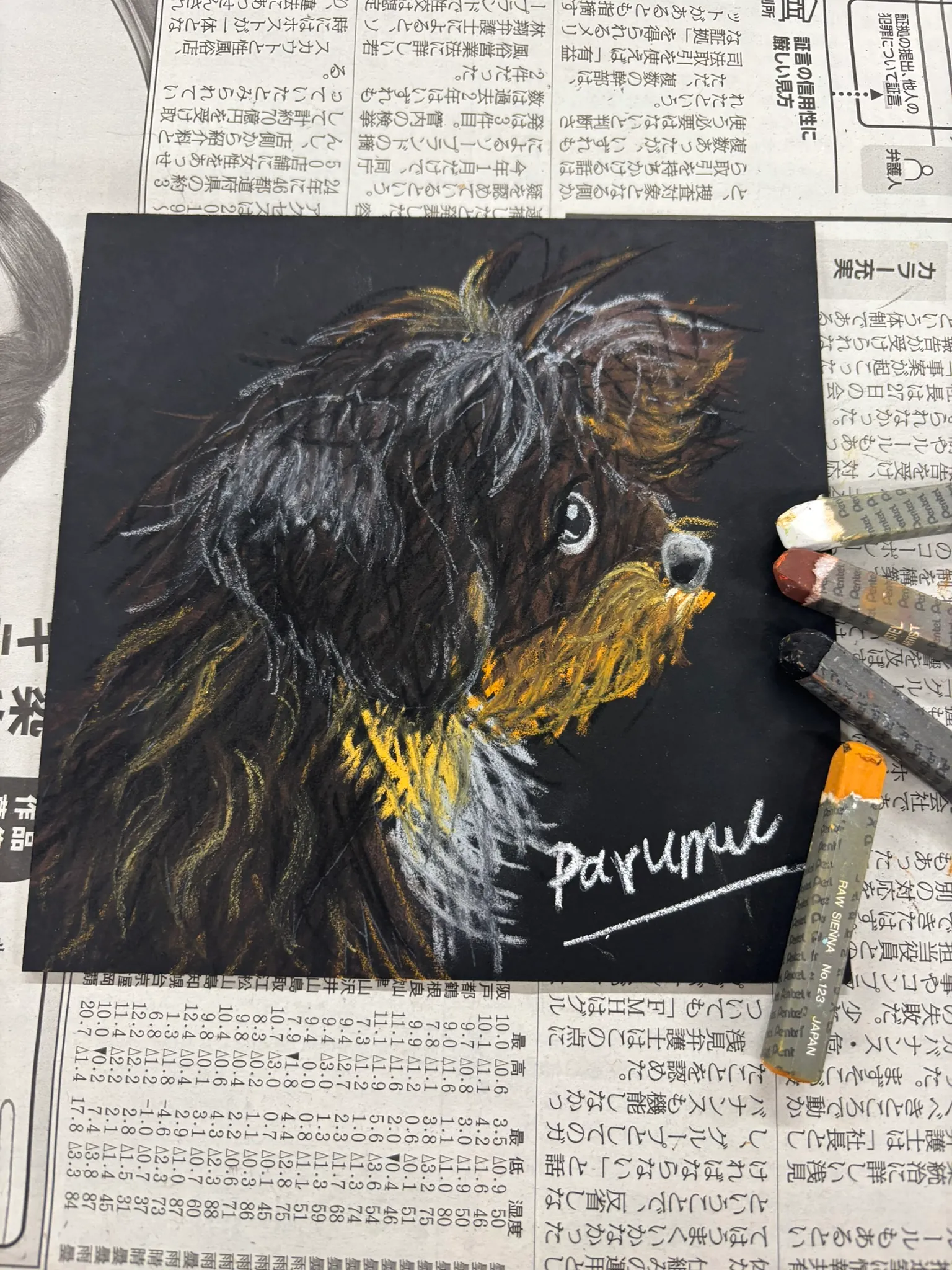 犬のチョークアートの描き方・細部の仕上げ工程