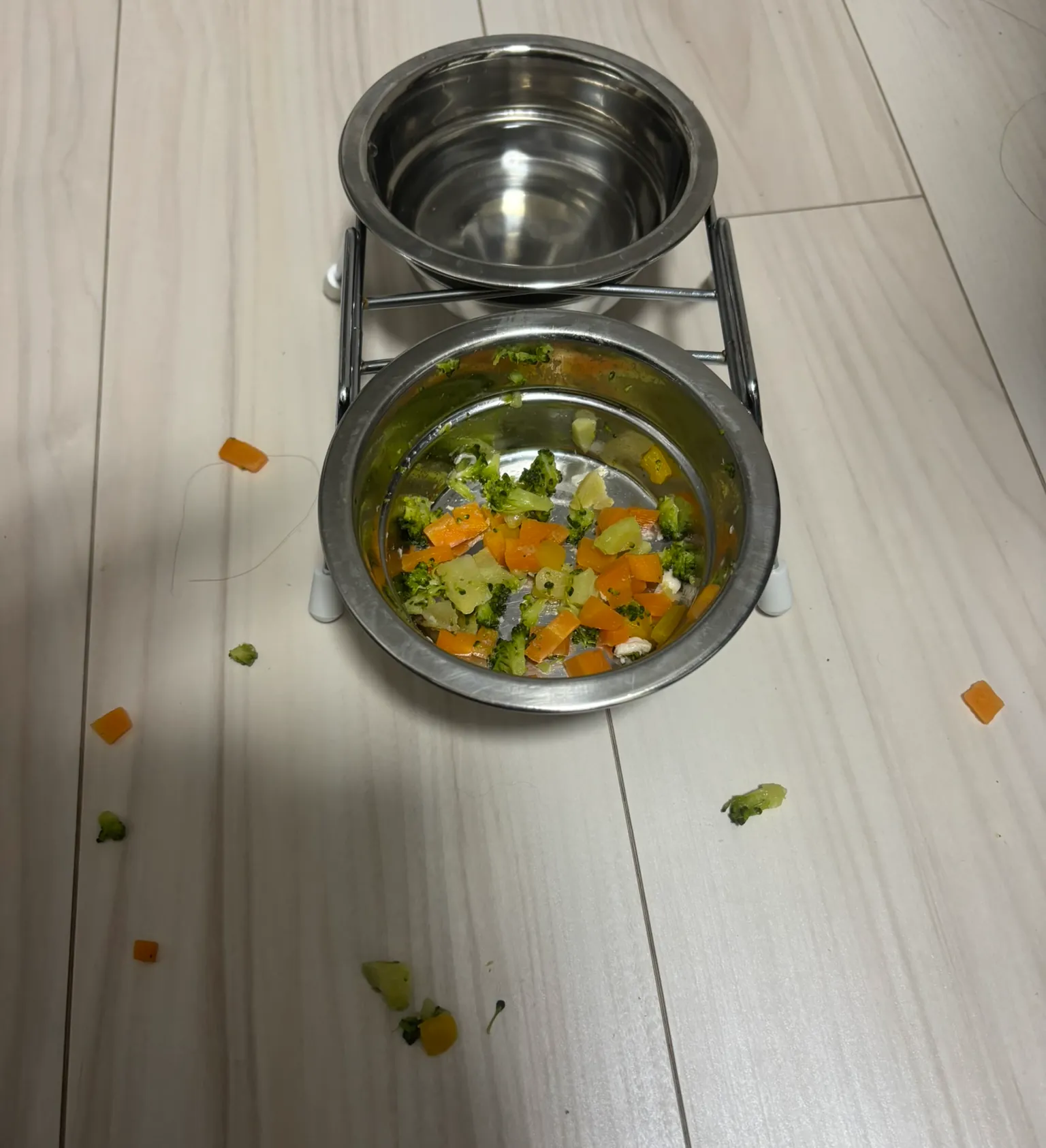 パルムちゃんの手作りごはん：ペットボウルと床に散らばった野菜の様子