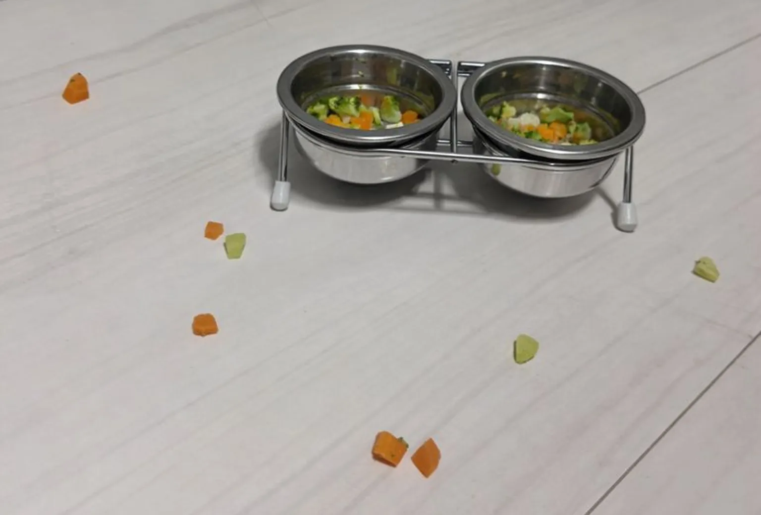 パルムちゃんが手作りごはんを食べている様子2：人参とブロッコリーを残している様子